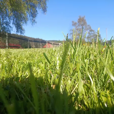 Apartament 86 *